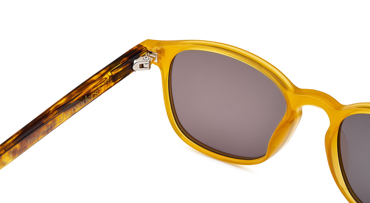 CARROLL SUN